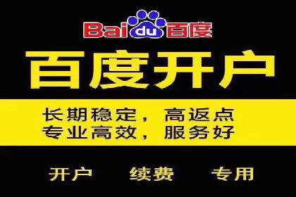 成功sem公司的策略与执行